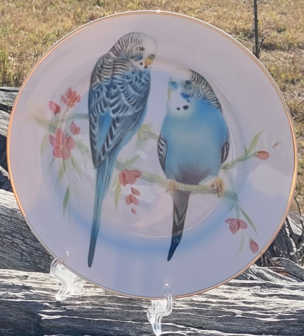 Budgie Pair 7.5inch Plate (Custom)