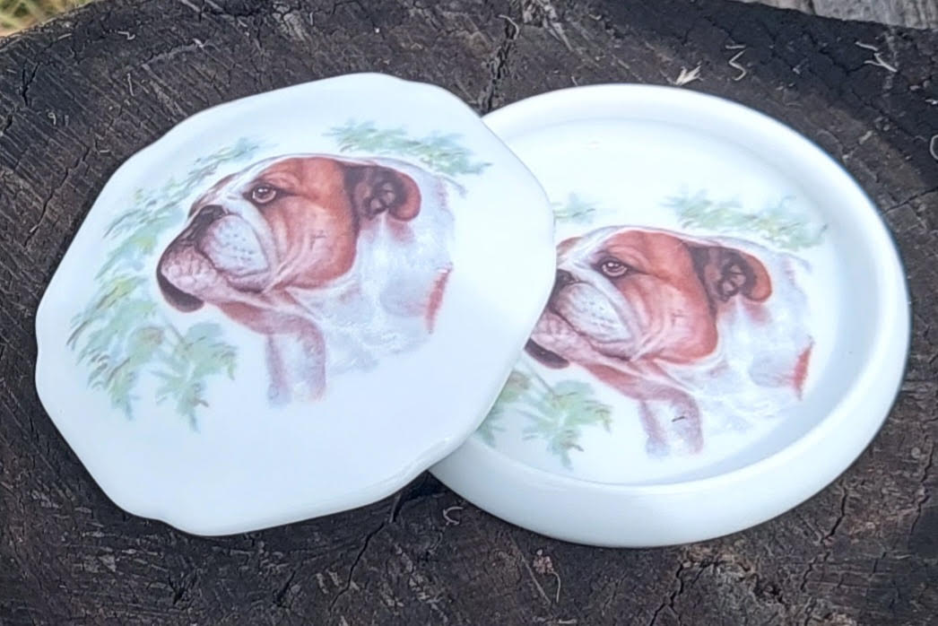 Bulldog Trinket Box (Custom)