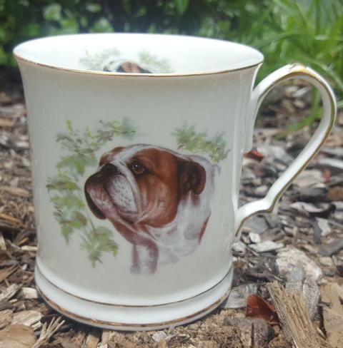 Bulldog Tankard (Custom)