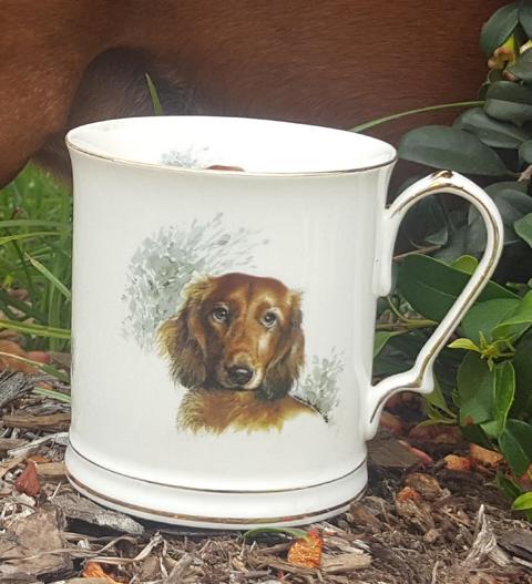Dachshund Tankard Custom