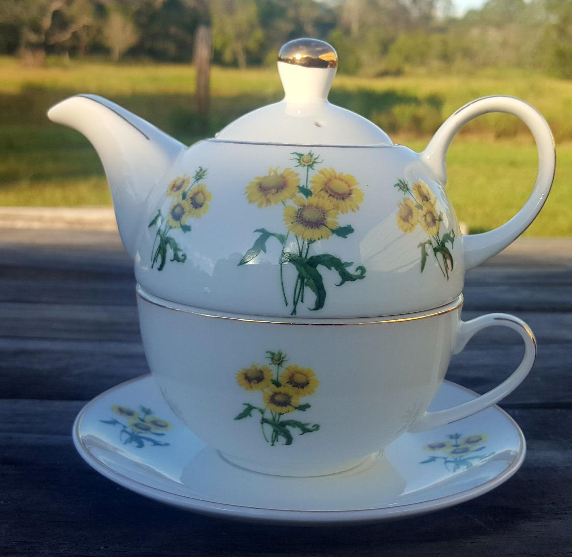 Sunshine Blanket Bloom Tea for one (custom)