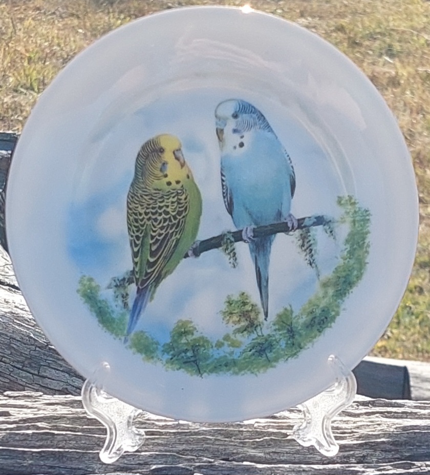 Budgie Pair Bliss 6inch Display Plate (Custom)
