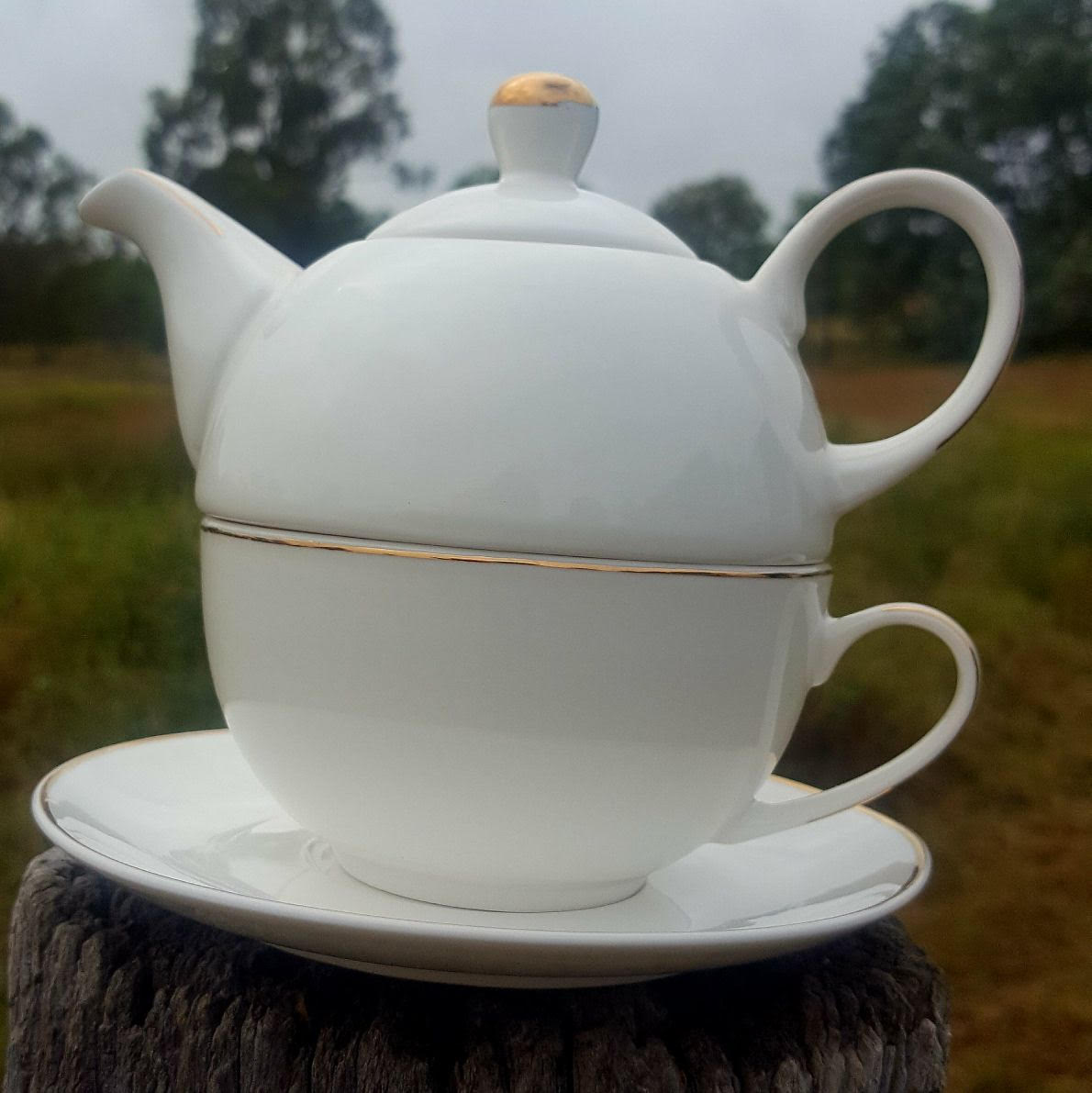White Dove Tea for One