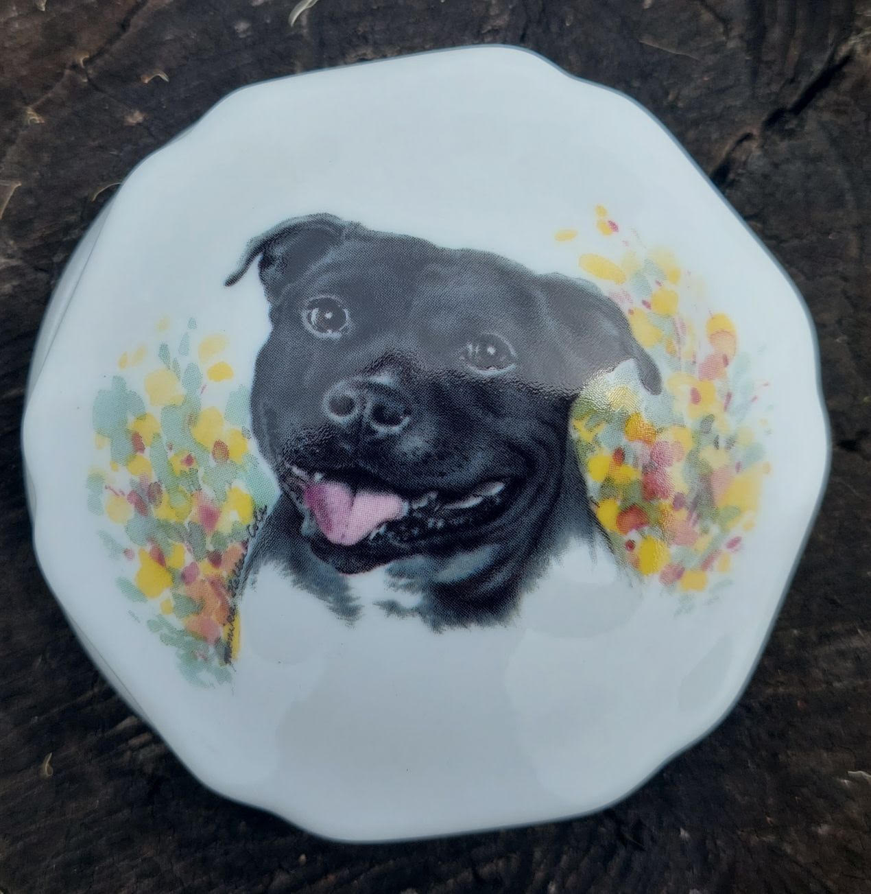 Staffy Trinket Box (Custom)