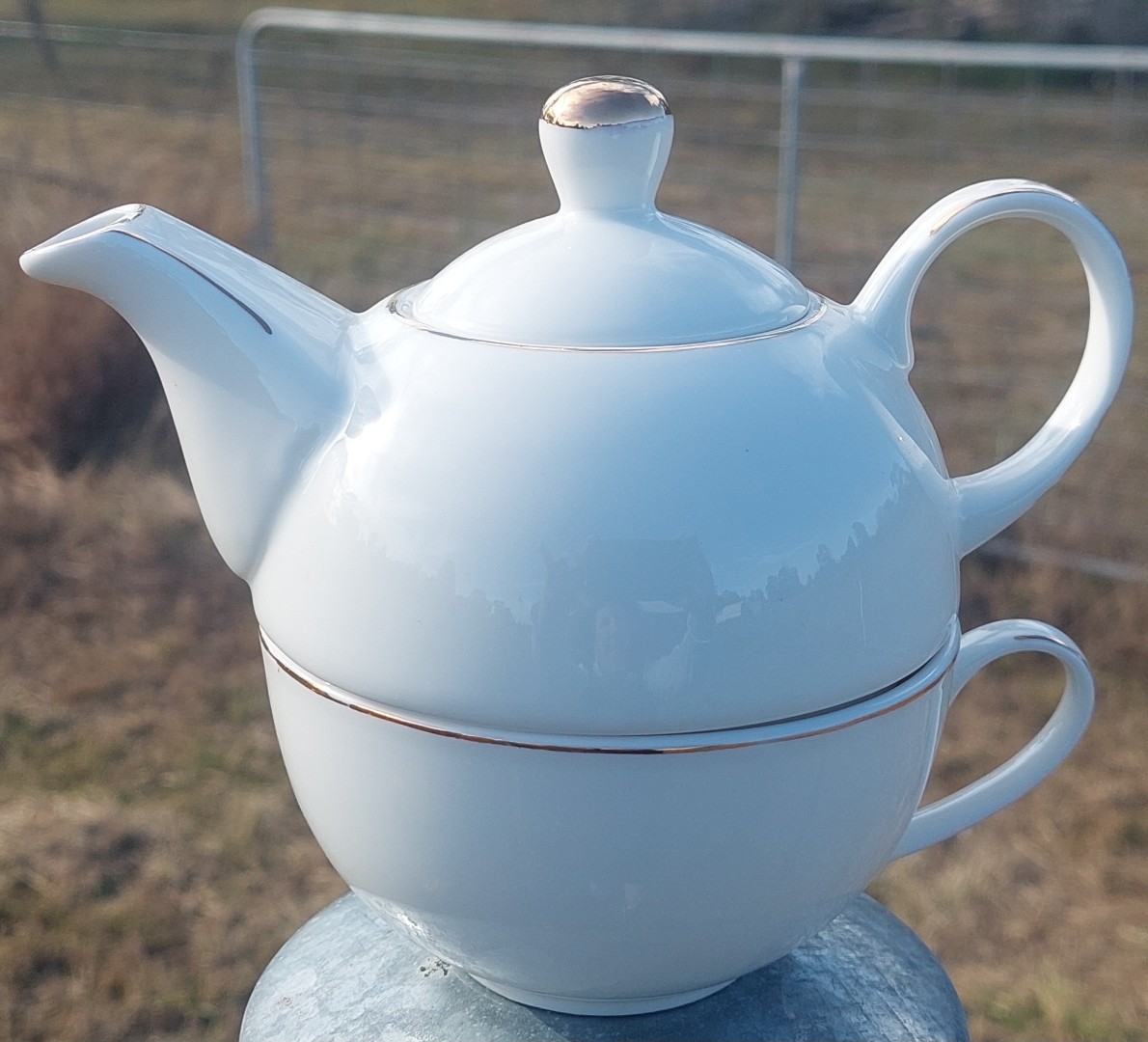 White Dove t41 (NO SAUCER)